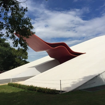 Picnic com tour pelo parque do Ibirapuera